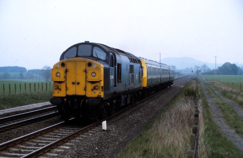 37006